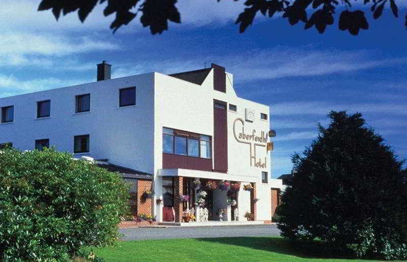 Cabarfeidh photo 1