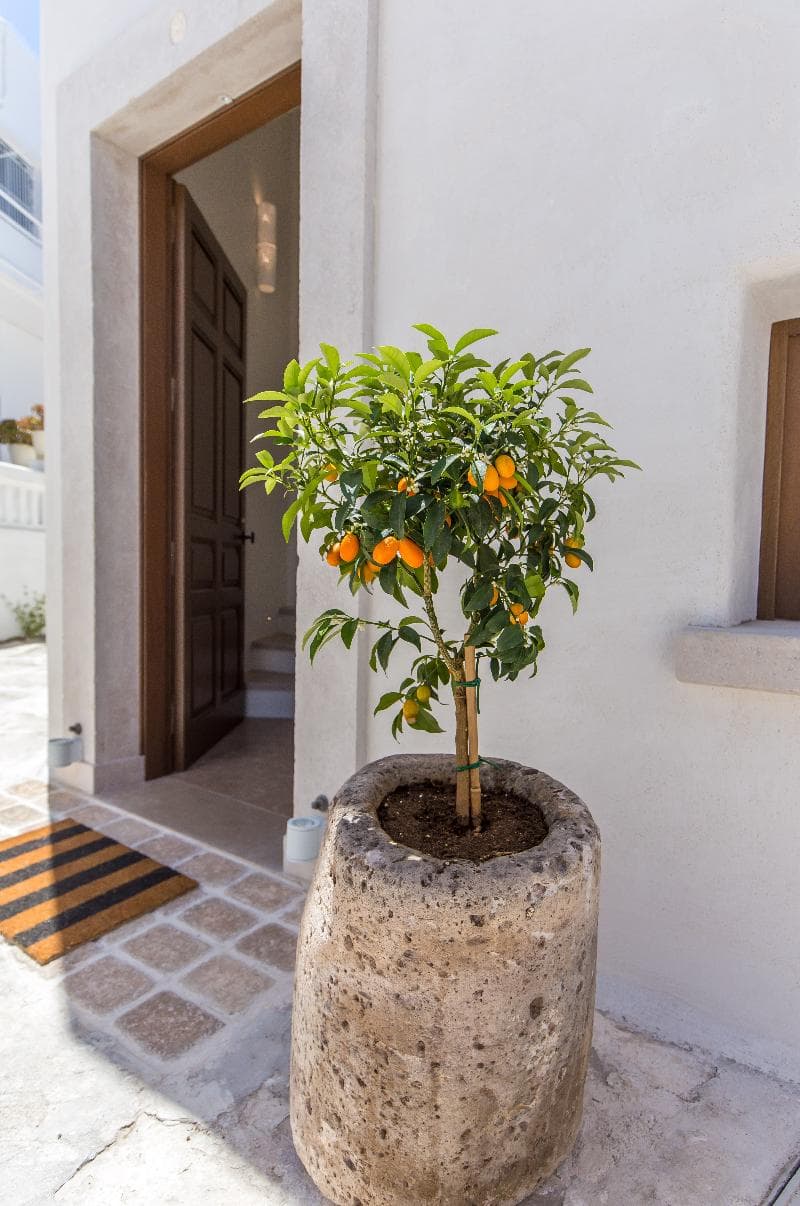 Anagram Boutique Hotel - Adults Only 3
