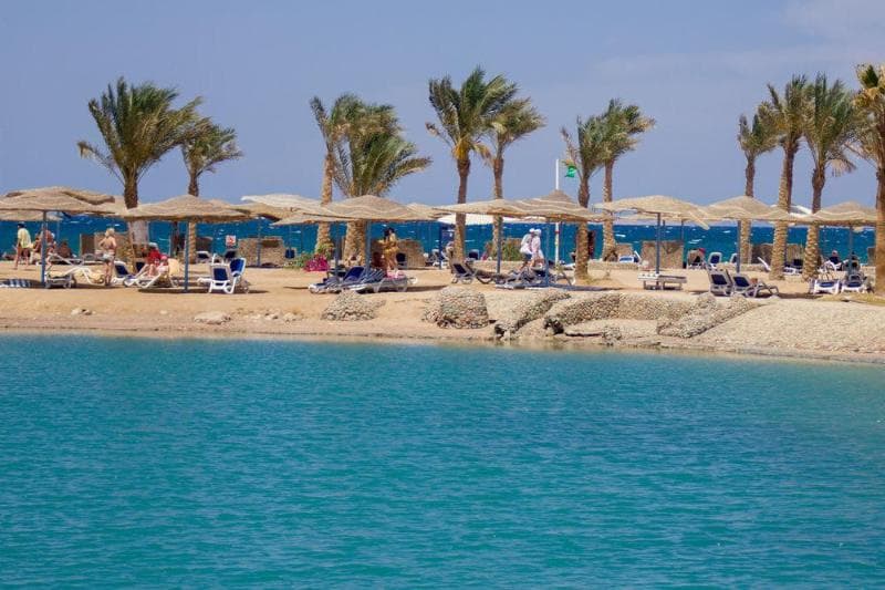 Calimera Blend Paradise 4