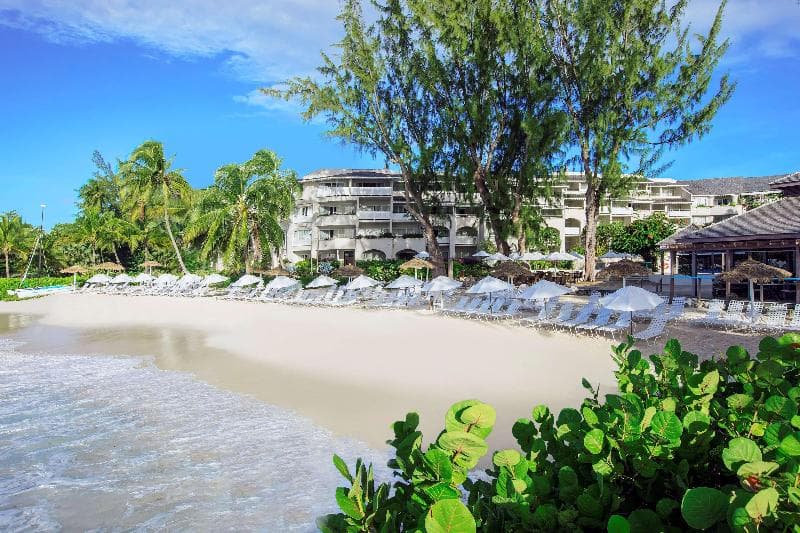 Bougainvillea Barbados 4