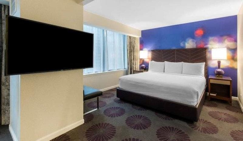 The Chicago Hotel Collection: Magnificent Mile 4