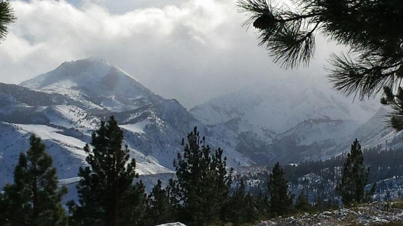 The Mammoth Creek Inn 5