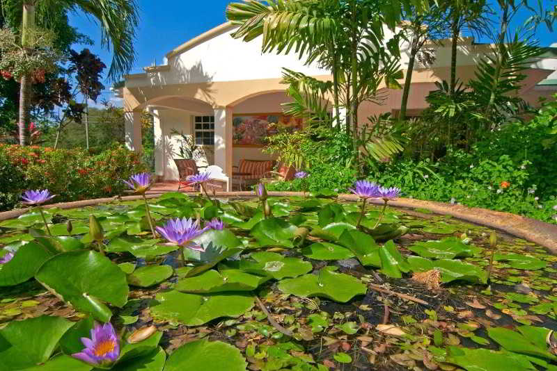 Blue Horizons Garden Resort 2