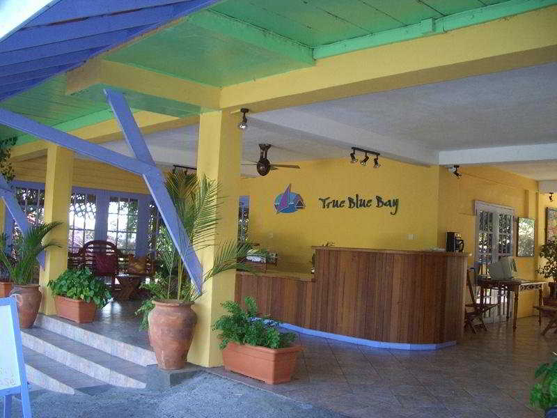 True Blue Bay Boutique Resort 5