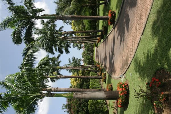 Coco Reef Resort & Spa photo 1
