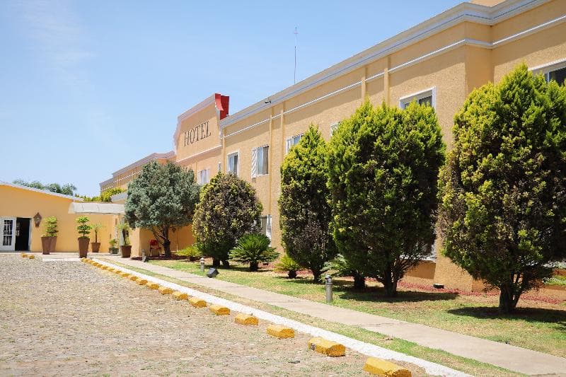 Zar Guadalajara 2