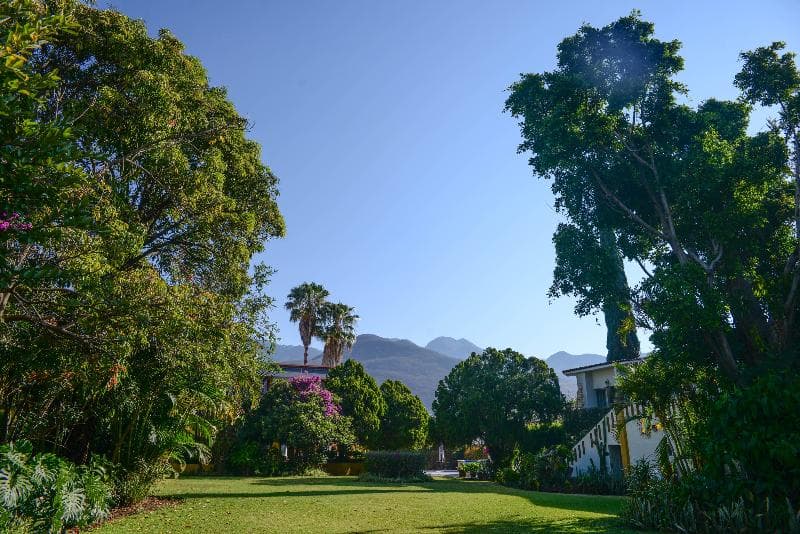Hacienda Los Laureles 3