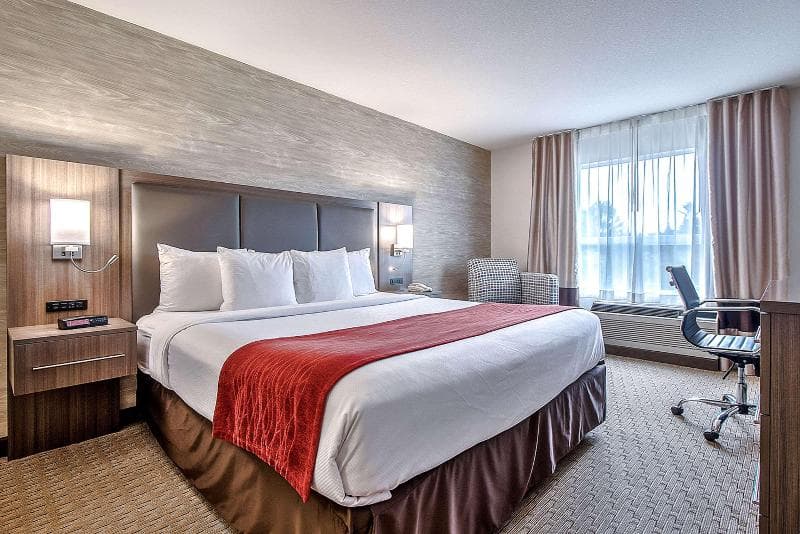 Comfort Inn & Suites South 2