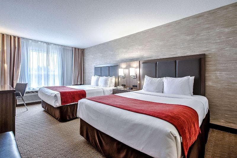 Comfort Inn & Suites South 4