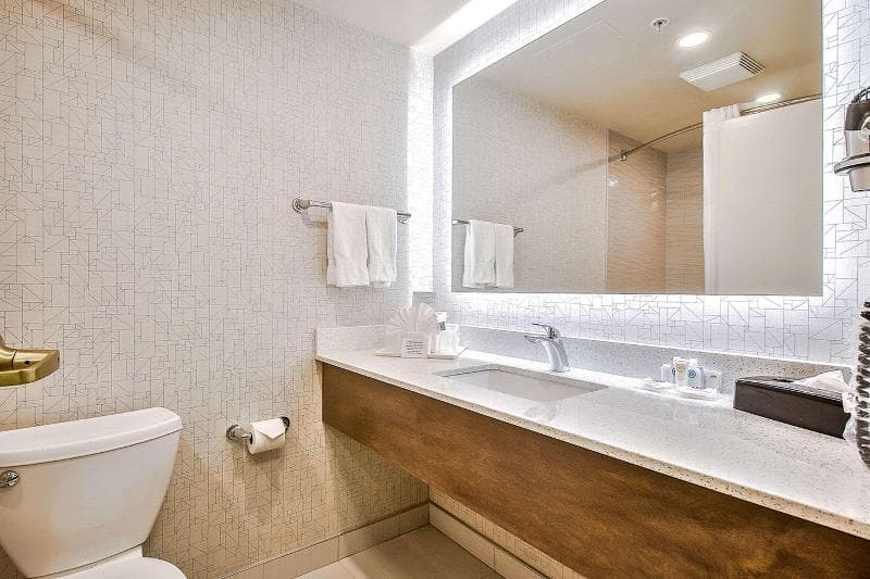 Comfort Inn & Suites South 5