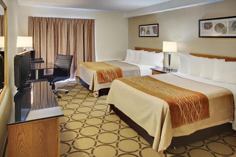 Comfort Inn Truro 5