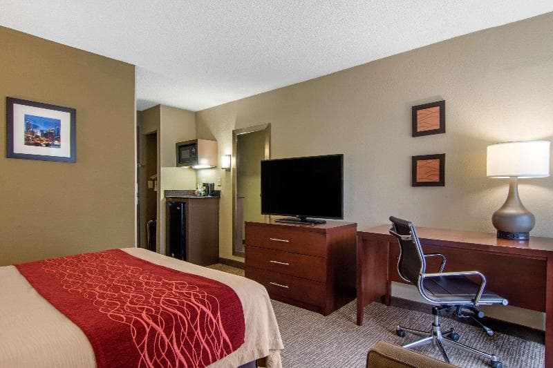 Comfort Inn Sandy Springs - Perimeter Hotel 5