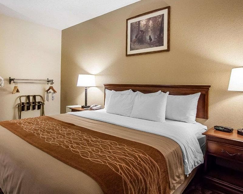 Comfort Inn And Suites Branson Meadows 4
