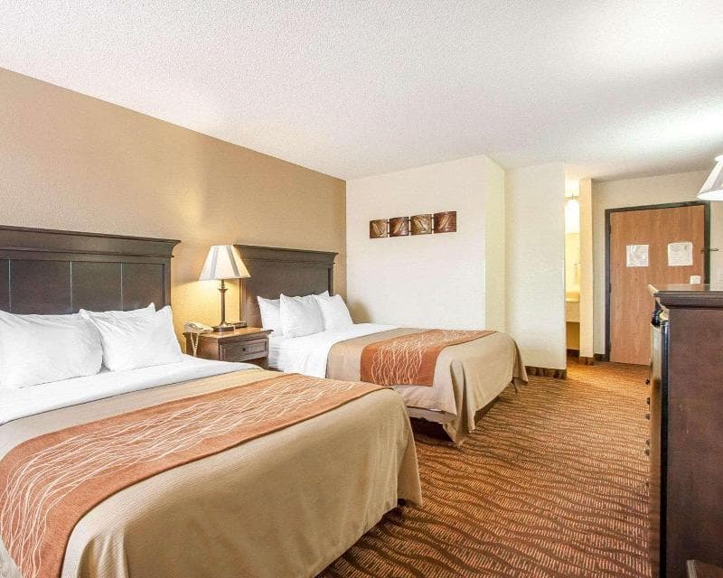 Comfort Inn At Thousand Hills 2