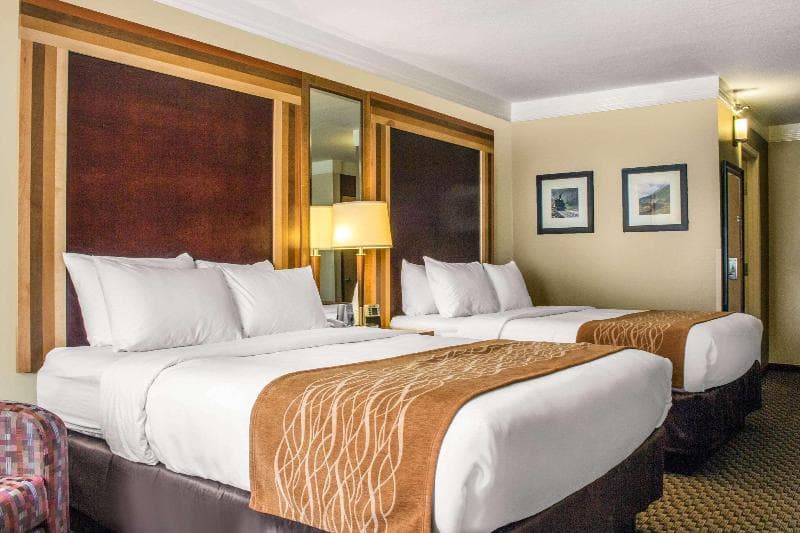 Comfort Inn & Suites Durango 5