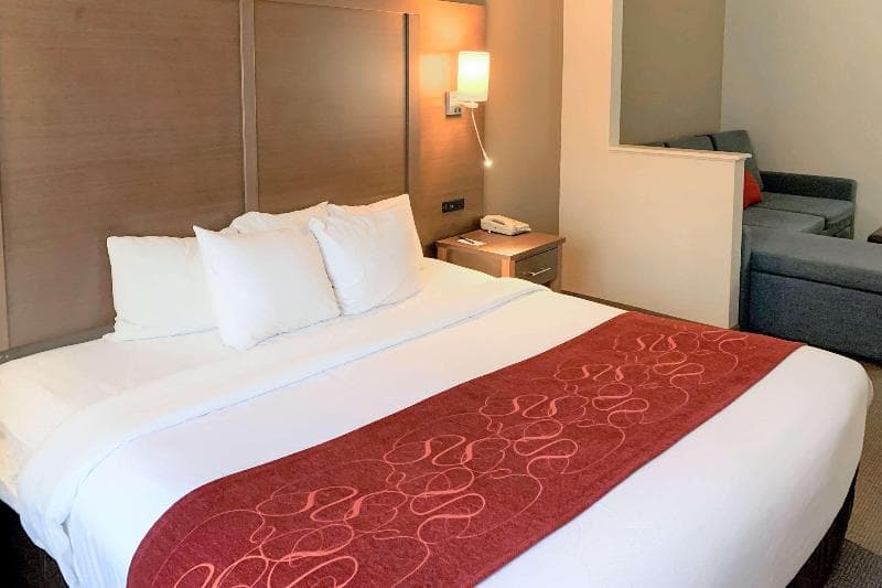 Comfort Suites Bush Intercontinental Airport 5