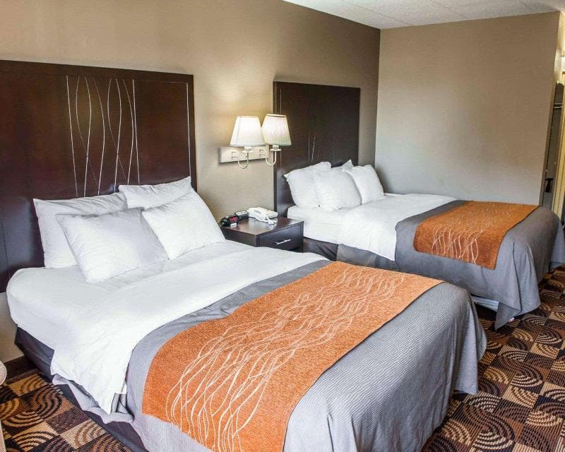Comfort Inn And Suites North At The Pyramids photo 1