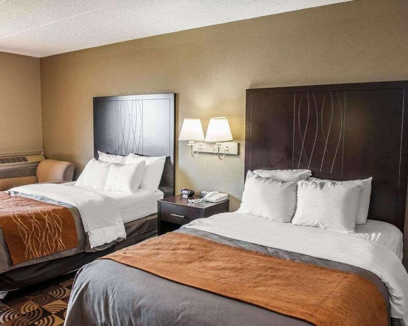 Comfort Inn And Suites North At The Pyramids 3