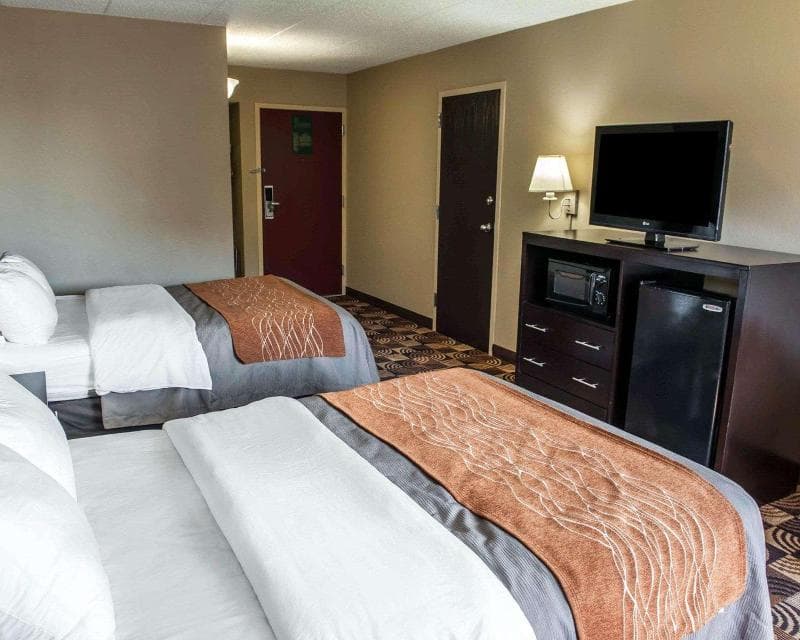 Comfort Inn And Suites North At The Pyramids 4