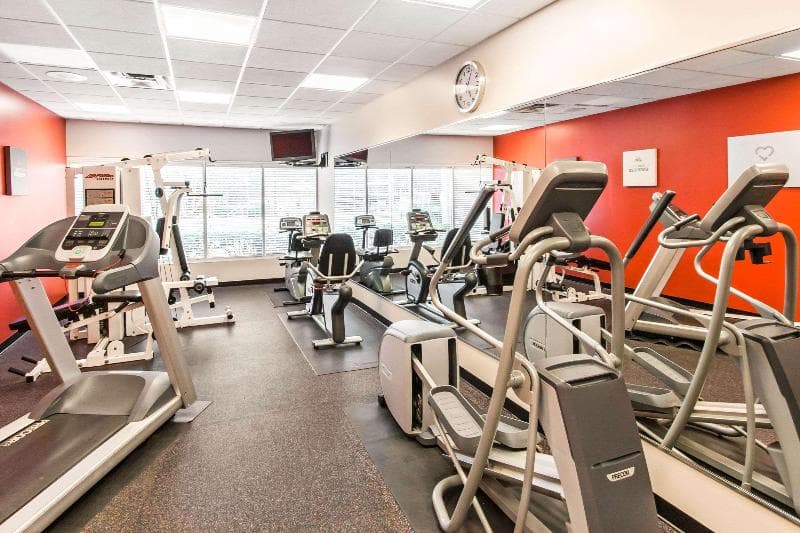 Comfort Suites Maingate East 3