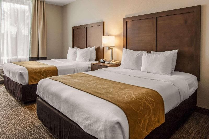 Comfort Suites Maingate East 5
