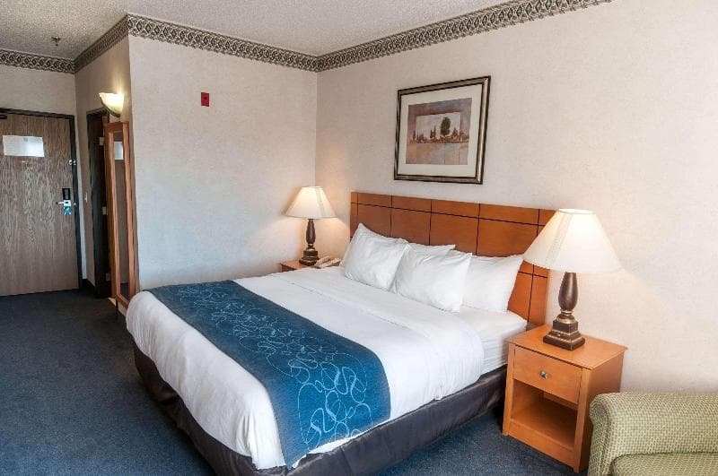 Comfort Suites University 2