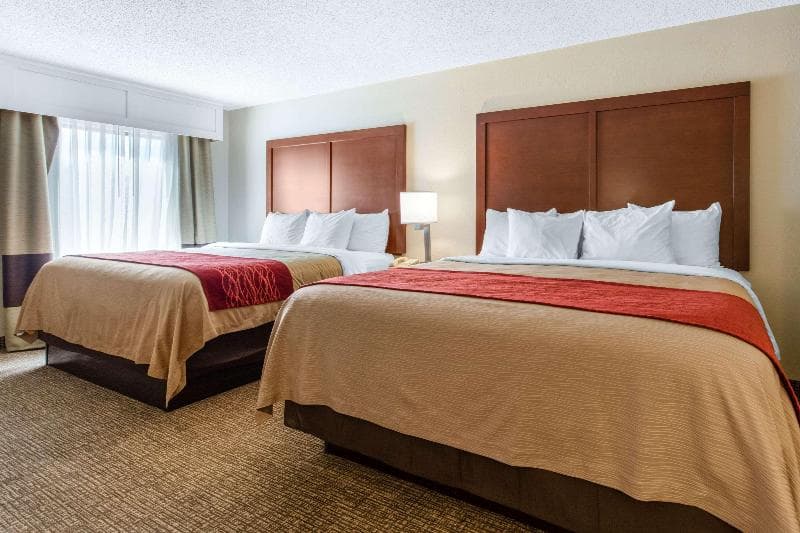 Comfort Inn & Suites Airport 3