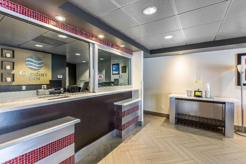 Comfort Inn Los Angeles Near Hollywood 3