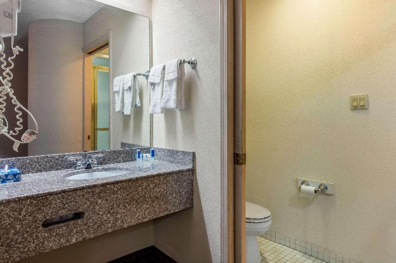Rodeway Inn Memphis 5