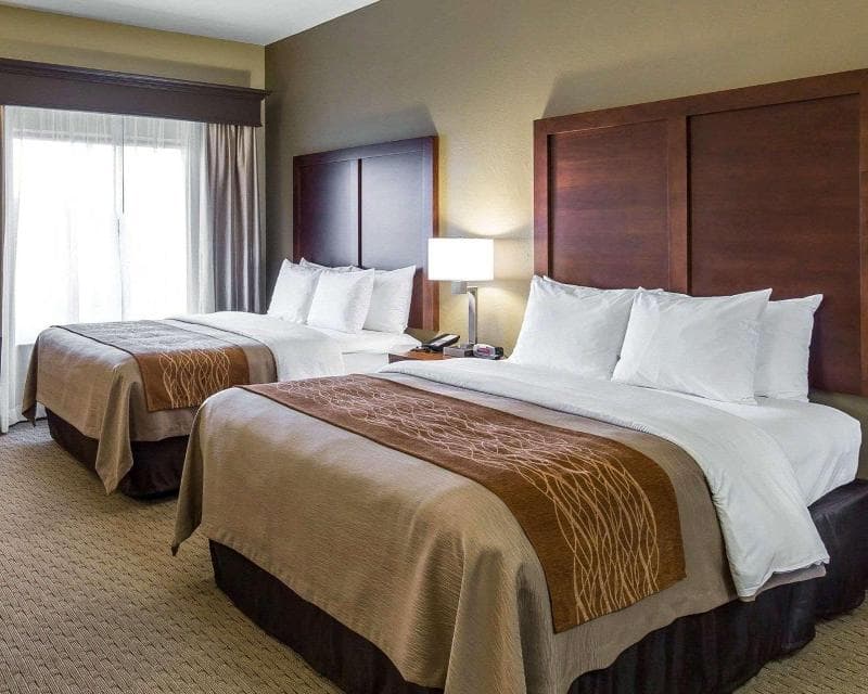 Comfort Inn & Executive Suites 1