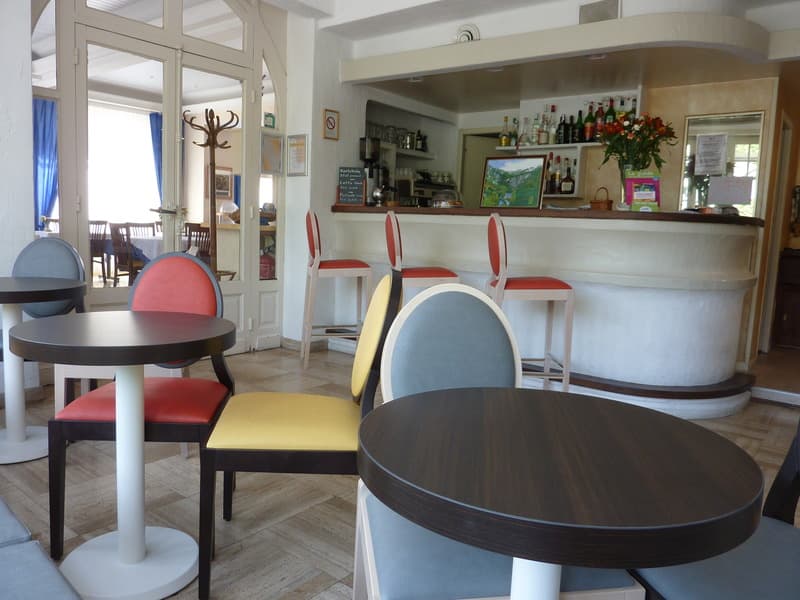 Citotel De La Vallee 3