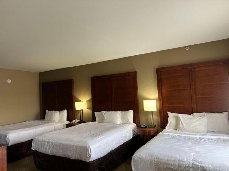 Vista Suites Pigeon Forge Surestay Collection Bw 3