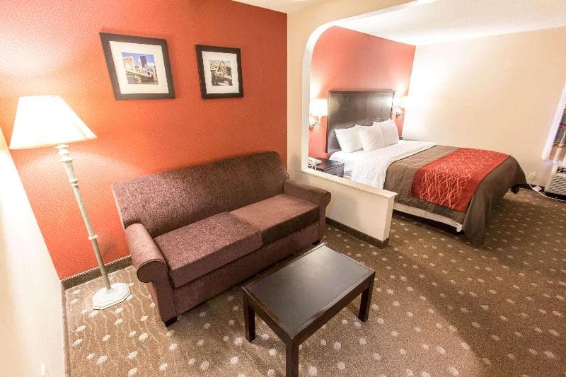 Comfort Inn Pittsburgh 3