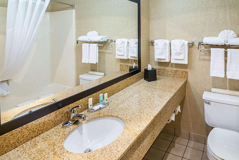 Travelodge By Wyndham Rapid City/Black Hills 5