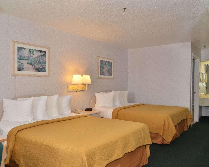 Econo Lodge Downtown South 2