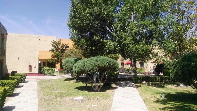 Casa Grande Chihuahua 2