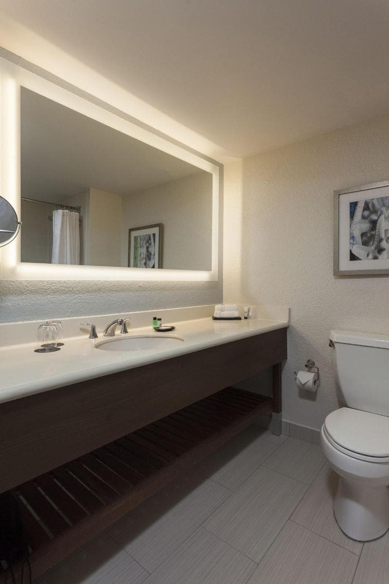 Hotel Rumbao, A Tribute Portfolio Hotel 5