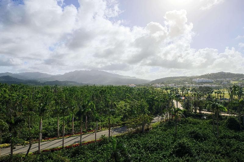 Wyndham Grand Rio Mar Rainforest Beach & Golf Resort 2