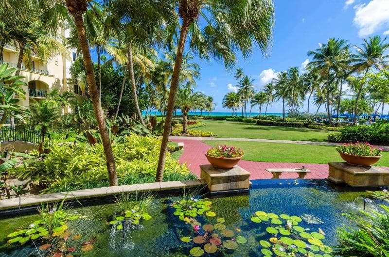 Wyndham Grand Rio Mar Rainforest Beach & Golf Resort 5