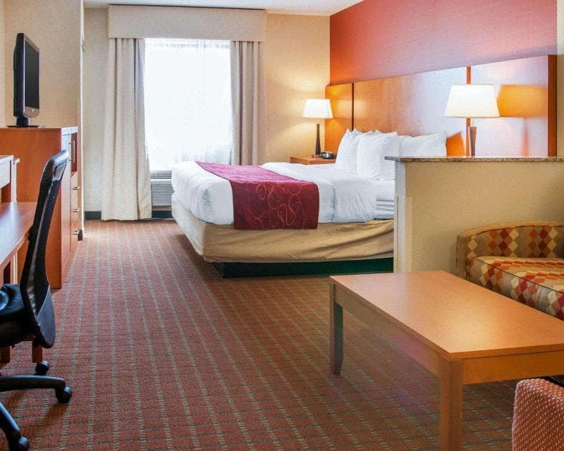 Comfort Suites Auburn Hills 4