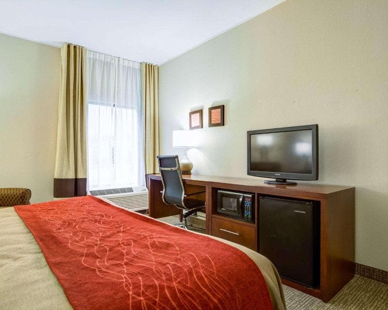 Comfort Inn & Suites Clemson - University Area 3