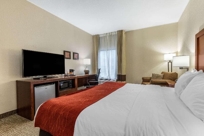 Comfort Inn & Suites Clemson - University Area 5