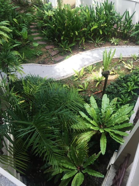 Anyavee Ao Nang Bay Resort 3