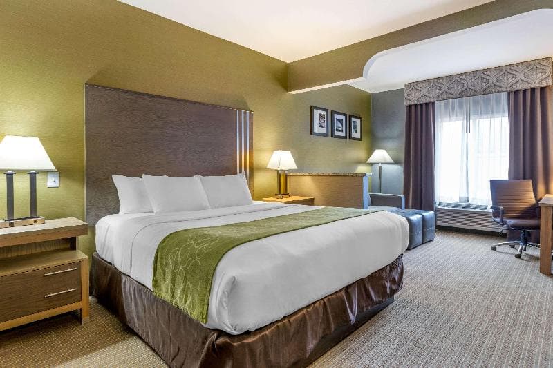 Comfort Suites Southgate 4