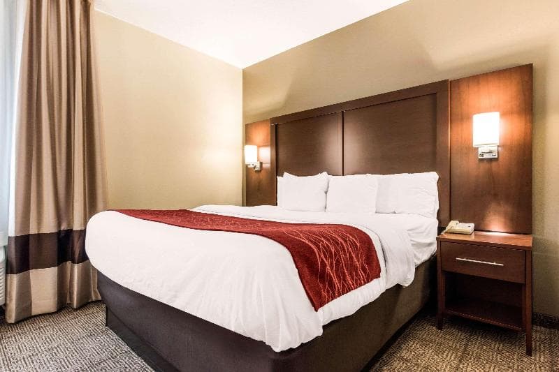 Comfort Inn & Suites Streetsboro - Kent 4