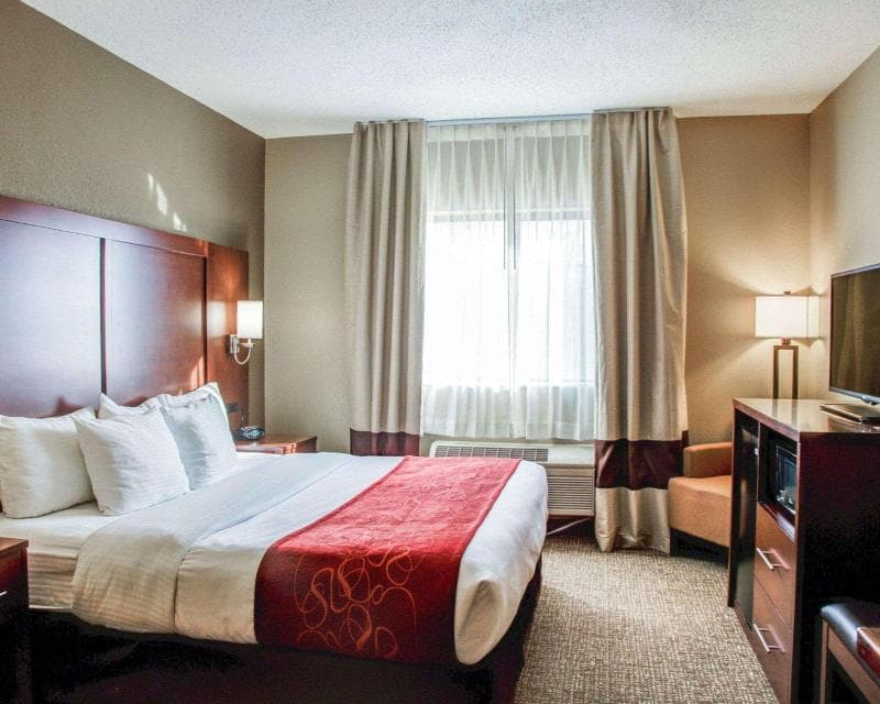Comfort Suites (Lombard) 3