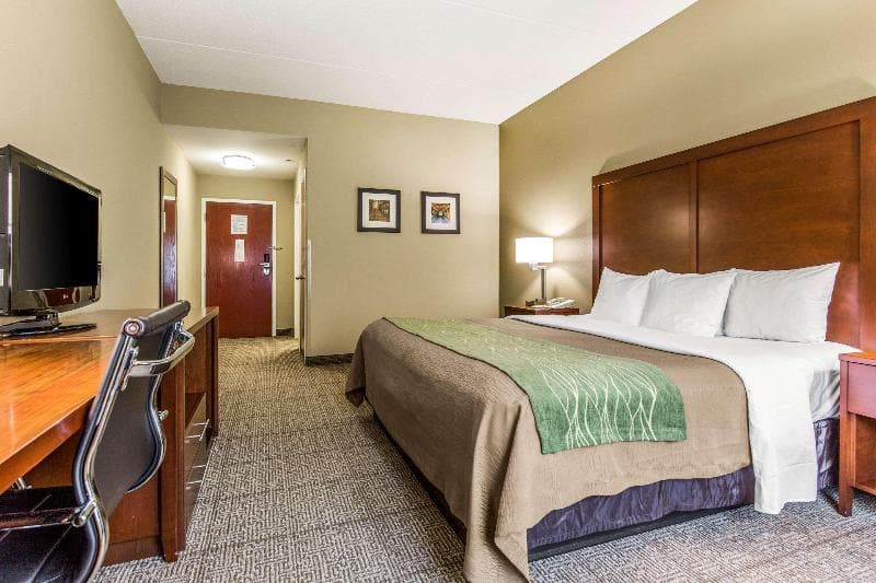 Comfort Inn Duncansville - Altoona 3