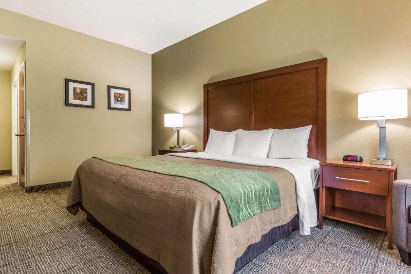 Comfort Inn Duncansville - Altoona 5