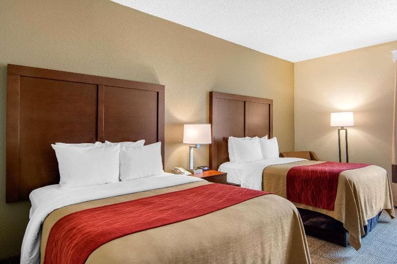 Comfort Inn Chester - Richmond South 3