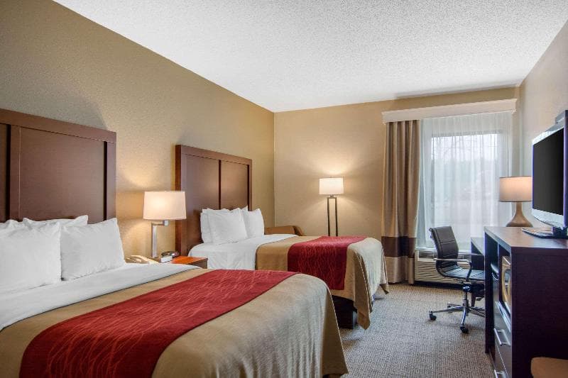 Comfort Inn Chester - Richmond South 5
